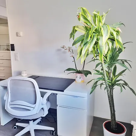 Renovado Cerca Zona Vieja Apartment *